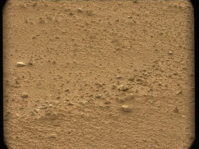 Sol 44: Mast Camera (Mastcam)