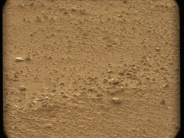 Sol 44: Mast Camera (Mastcam)