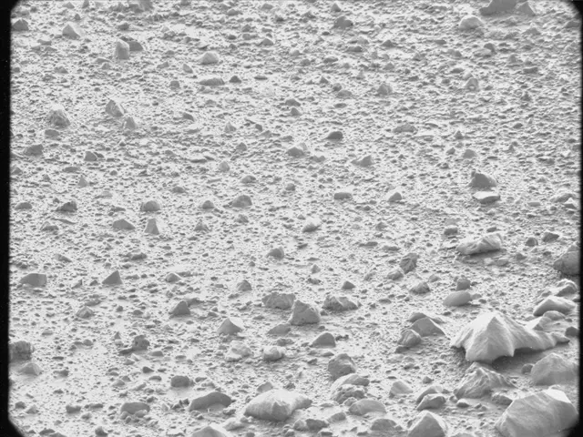 Sol 44: Mast Camera (Mastcam)