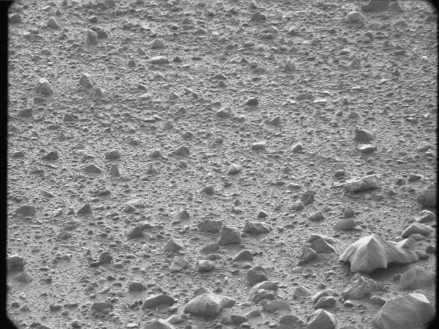 Sol 44: Mast Camera (Mastcam)