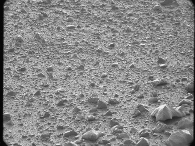 Sol 44: Mast Camera (Mastcam)