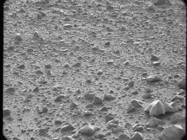Sol 44: Mast Camera (Mastcam)