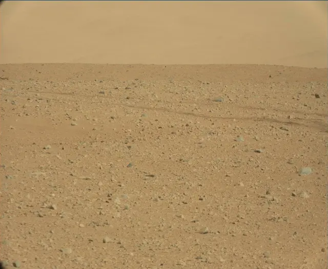Sol 44: Mast Camera (Mastcam)
