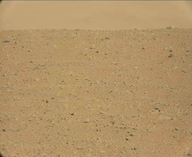 Sol 44: Mast Camera (Mastcam)