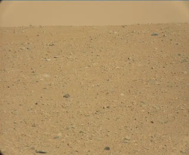 Sol 44: Mast Camera (Mastcam)