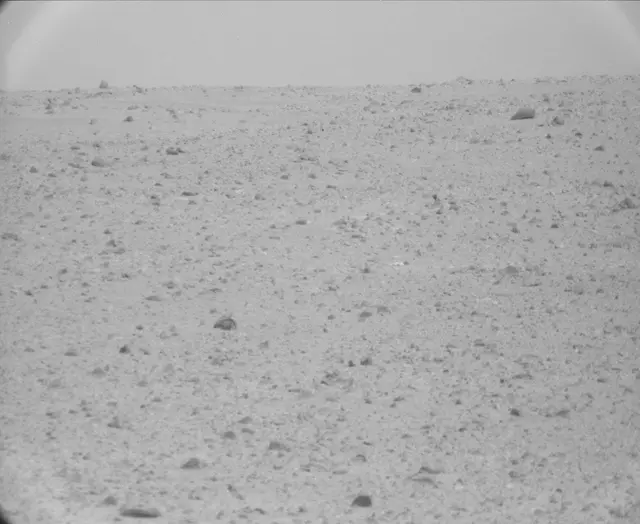 Sol 44: Mast Camera (Mastcam)