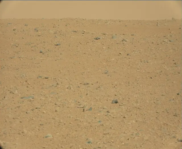 Sol 44: Mast Camera (Mastcam)