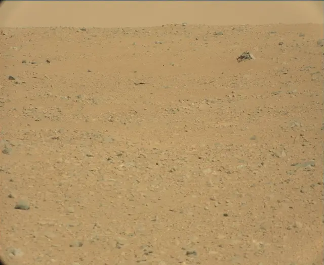 Sol 44: Mast Camera (Mastcam)