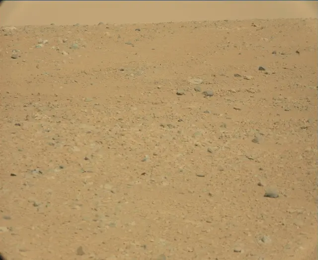 Sol 44: Mast Camera (Mastcam)