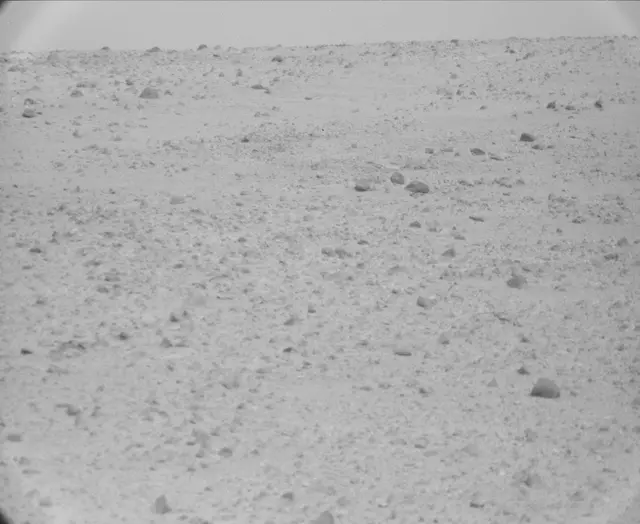 Sol 44: Mast Camera (Mastcam)