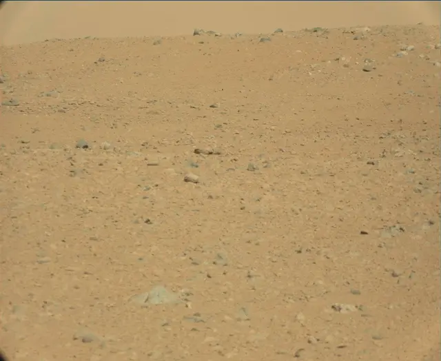 Sol 44: Mast Camera (Mastcam)