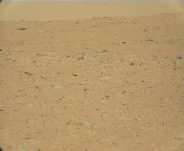 Sol 44: Mast Camera (Mastcam)