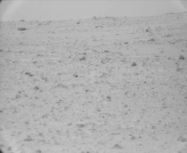 Sol 44: Mast Camera (Mastcam)