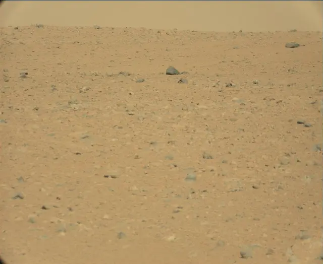 Sol 44: Mast Camera (Mastcam)