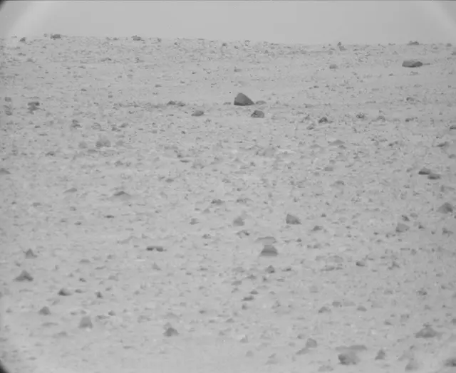 Sol 44: Mast Camera (Mastcam)