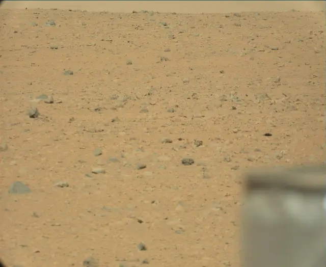 Sol 44: Mast Camera (Mastcam)