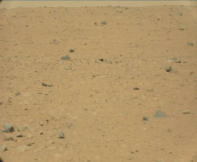 Sol 44: Mast Camera (Mastcam)