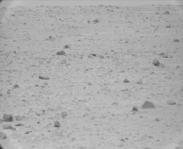 Sol 44: Mast Camera (Mastcam)