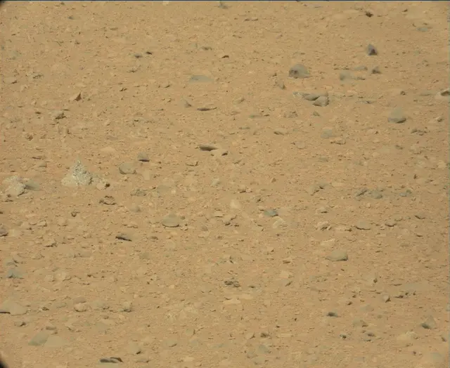 Sol 44: Mast Camera (Mastcam)