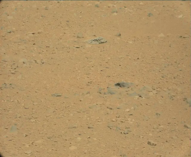 Sol 44: Mast Camera (Mastcam)