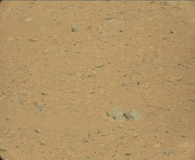 Sol 44: Mast Camera (Mastcam)