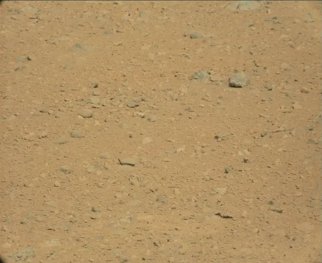 Sol 44: Mast Camera (Mastcam)