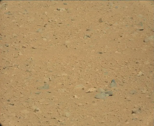 Sol 44: Mast Camera (Mastcam)