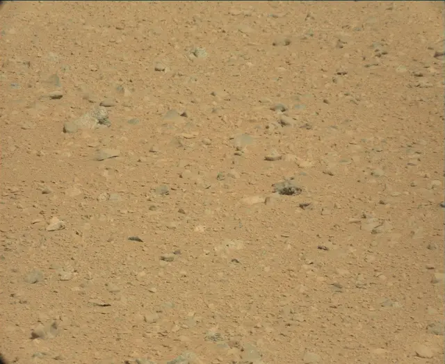 Sol 44: Mast Camera (Mastcam)