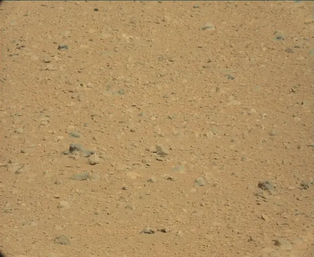 Sol 44: Mast Camera (Mastcam)