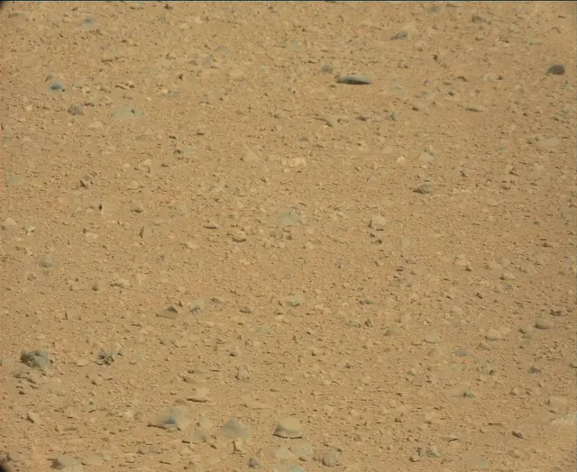 Sol 44: Mast Camera (Mastcam)