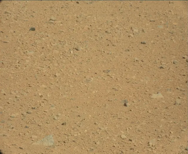 Sol 44: Mast Camera (Mastcam)