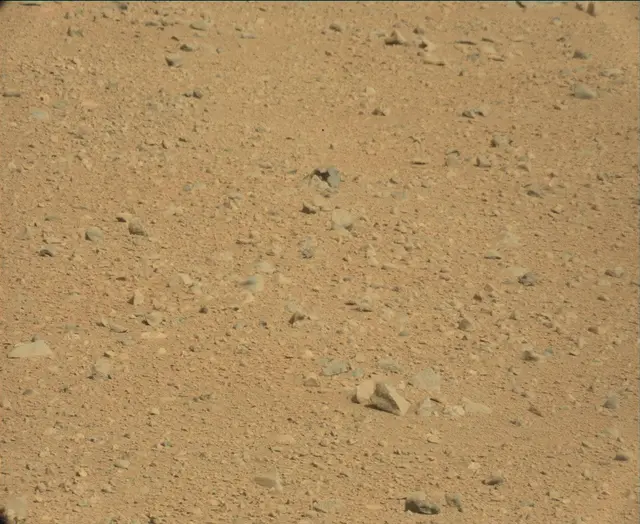 Sol 44: Mast Camera (Mastcam)