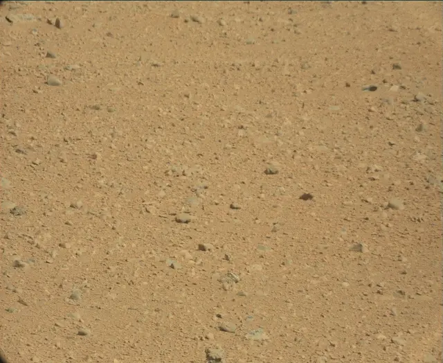 Sol 44: Mast Camera (Mastcam)