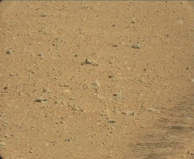 Sol 44: Mast Camera (Mastcam)