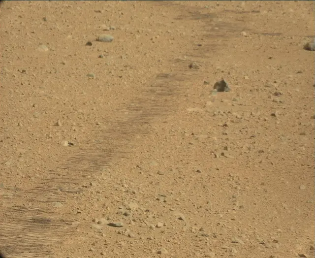 Sol 44: Mast Camera (Mastcam)