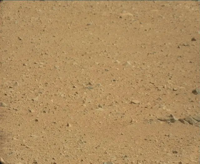 Sol 44: Mast Camera (Mastcam)