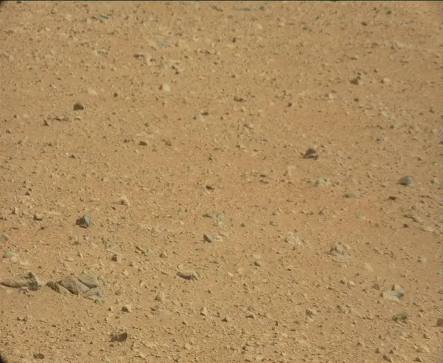 Sol 44: Mast Camera (Mastcam)