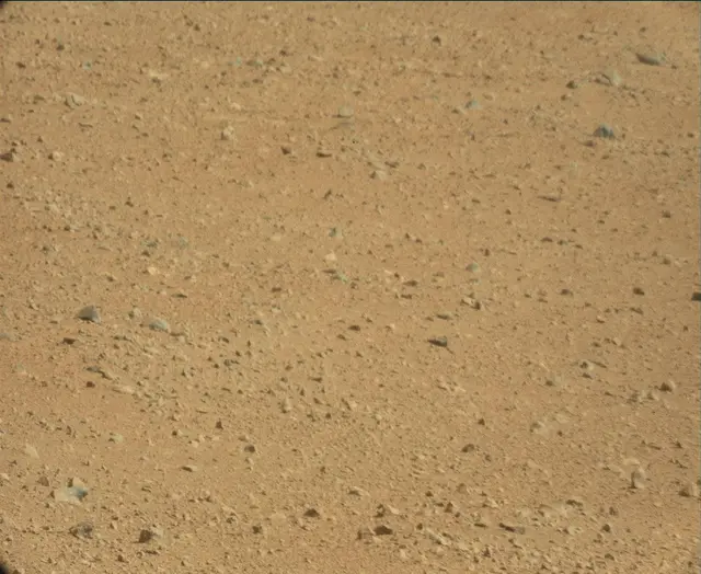 Sol 44: Mast Camera (Mastcam)