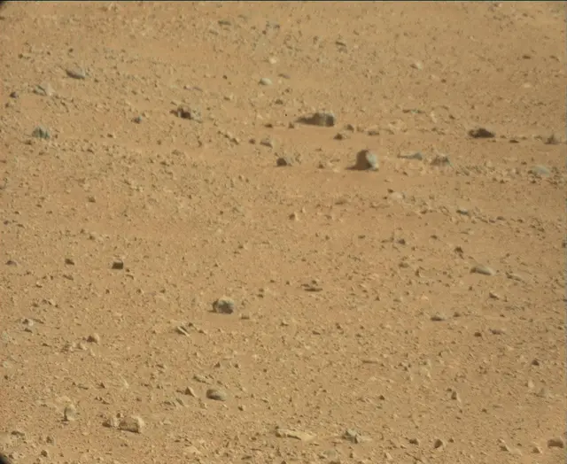 Sol 44: Mast Camera (Mastcam)