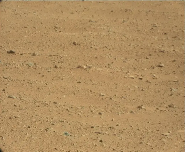 Sol 44: Mast Camera (Mastcam)