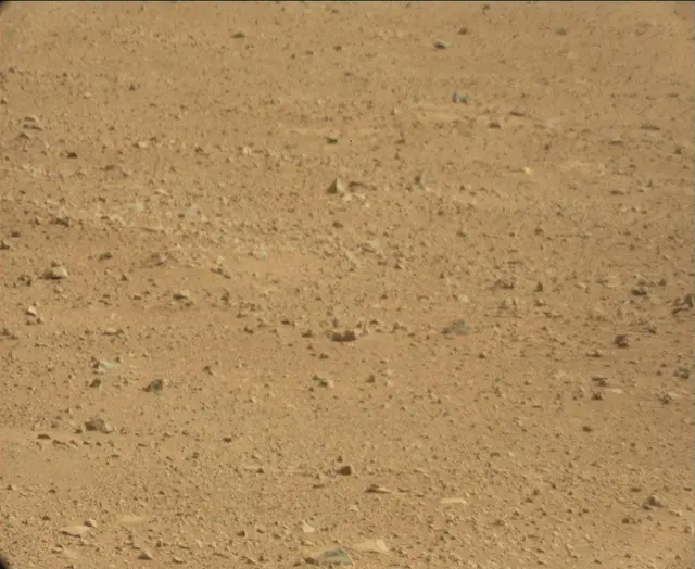 Sol 44: Mast Camera (Mastcam)