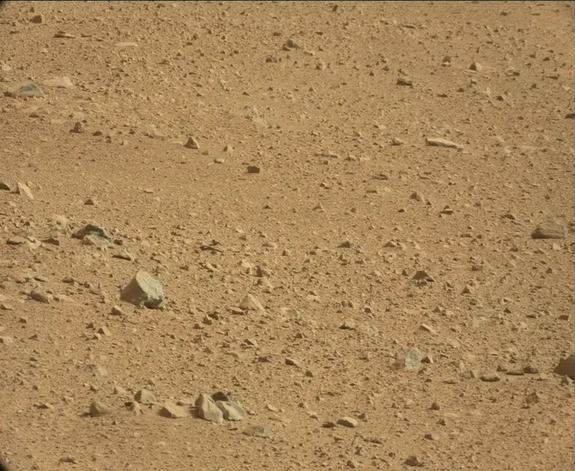 Sol 44: Mast Camera (Mastcam)