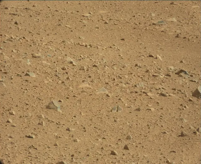 Sol 44: Mast Camera (Mastcam)