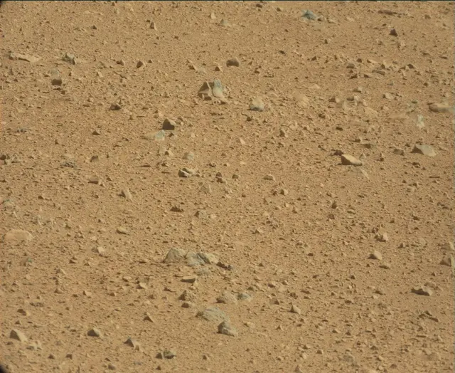 Sol 44: Mast Camera (Mastcam)