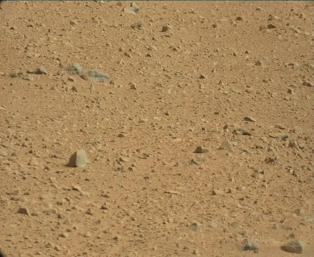 Sol 44: Mast Camera (Mastcam)