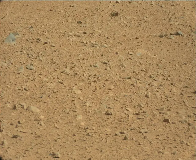 Sol 44: Mast Camera (Mastcam)