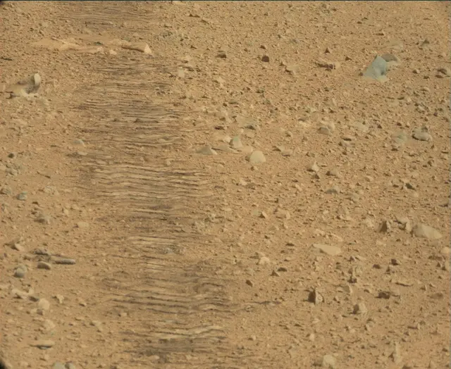 Sol 44: Mast Camera (Mastcam)
