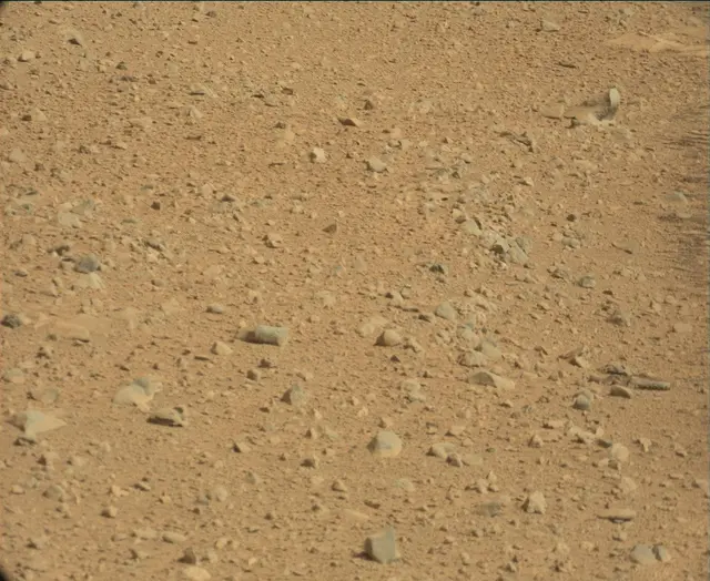 Sol 44: Mast Camera (Mastcam)