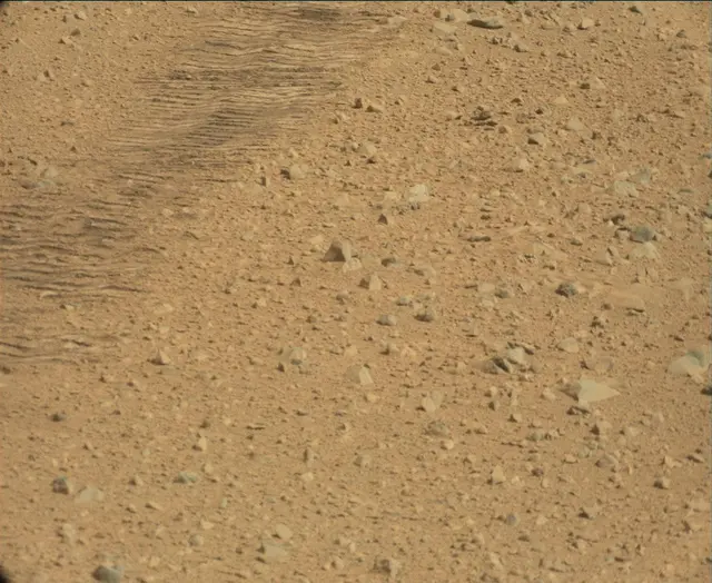Sol 44: Mast Camera (Mastcam)