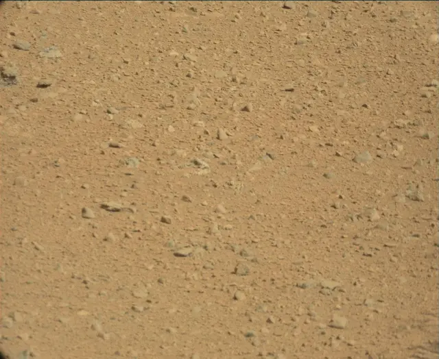 Sol 44: Mast Camera (Mastcam)